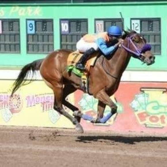 Meet your Posher, Paul - Picture 1 of 1